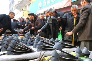 温州瑞安 传统民俗闹乡村